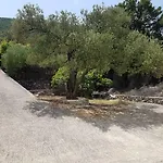 >nikola< *