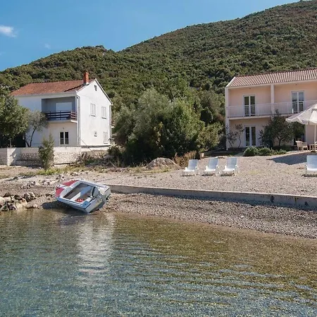 度假居 >nikola< *